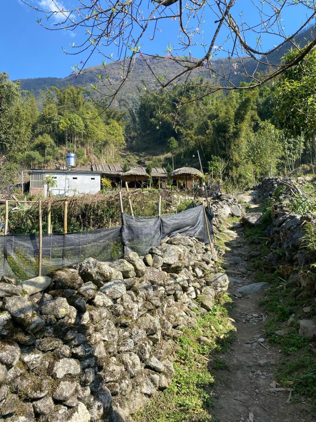 Sue Pa Family Trekking Homestay Шапа Екстер'єр фото