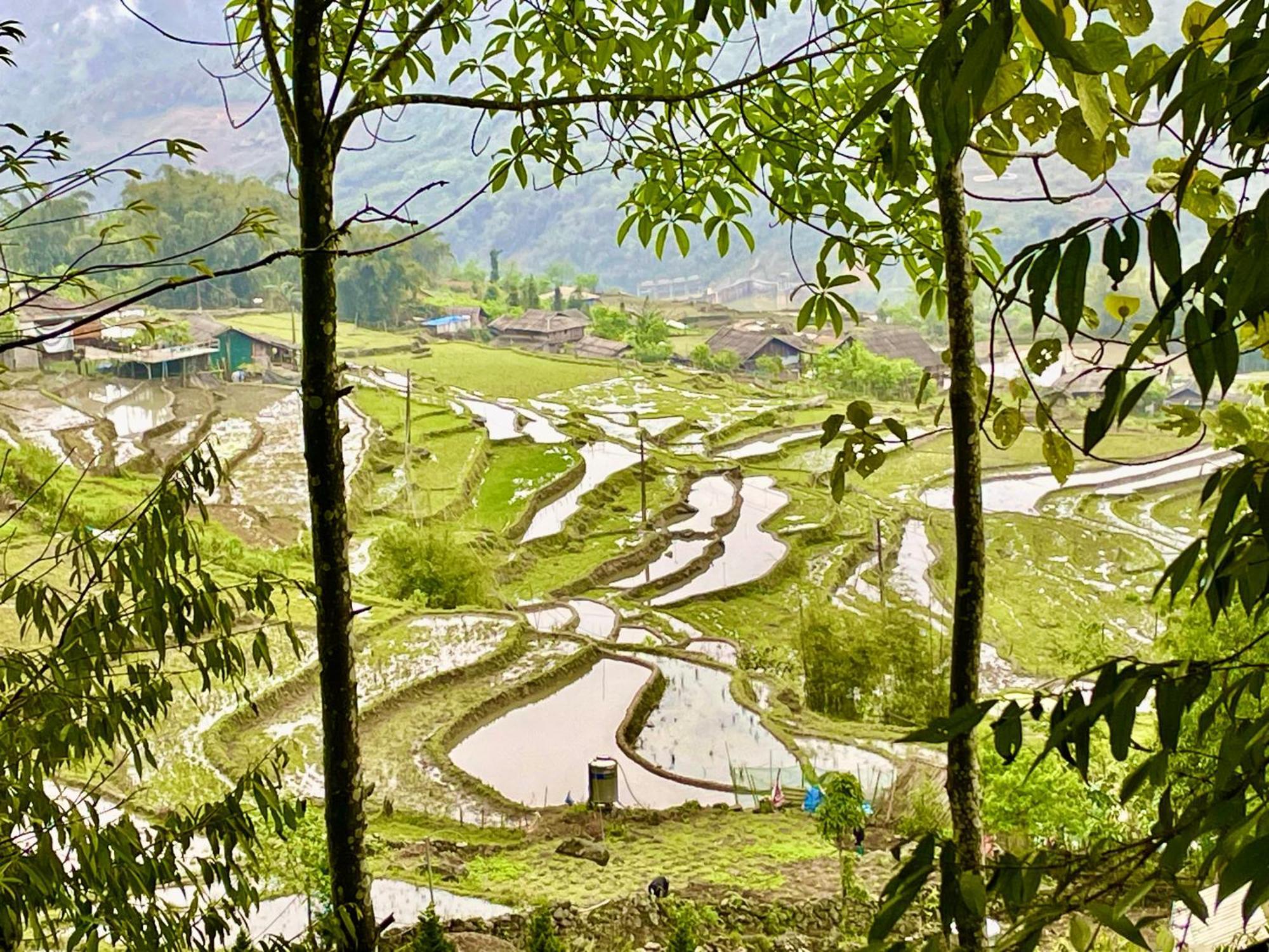 Sue Pa Family Trekking Homestay Шапа Екстер'єр фото