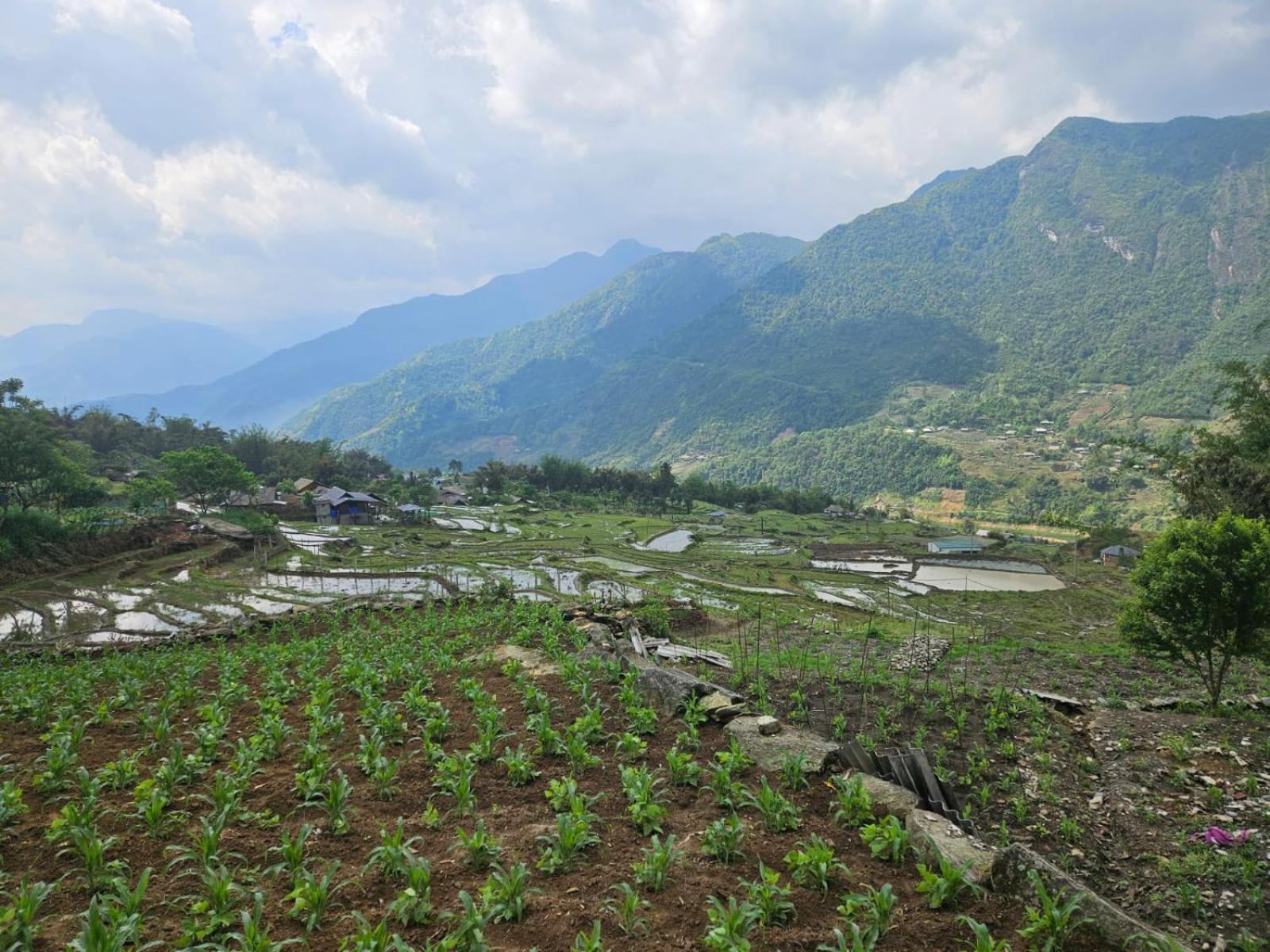 Sue Pa Family Trekking Homestay Шапа Екстер'єр фото